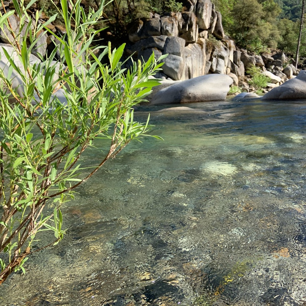 Meet your Posher, Michaela